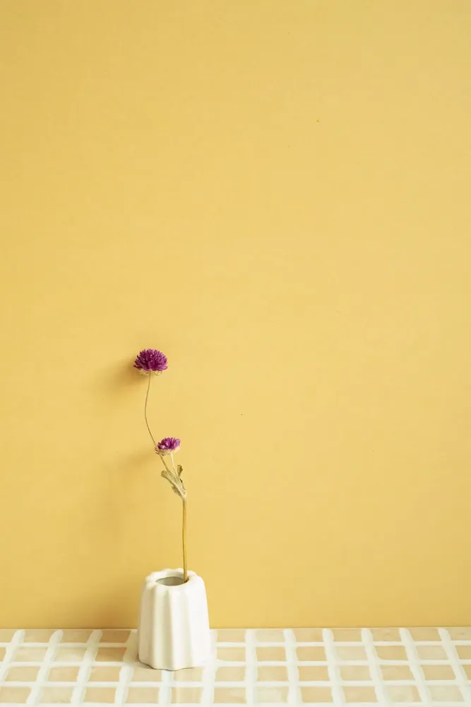 détail-peinture-pia-gazil.webp